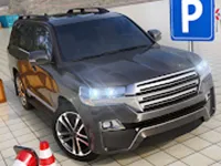 Bmw Driving  amp; Parking