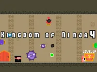 image Kingdom of Ninja 4