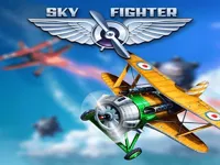 image Sky Fighter