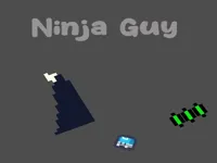 image Ninja Guy
