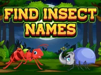 image Find Insect Names