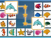 image Connect Master