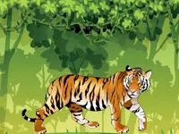 image Angry Tiger Coloring