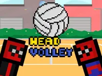 image Head Volley