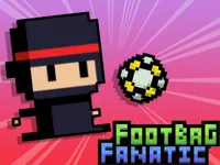 Footbag Fanatic