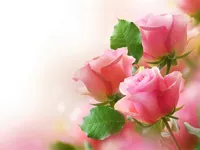 image Pink Roses Puzzle