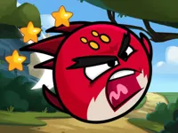 image Hero Birds Hidden Stars