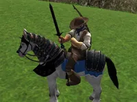 image Reiten Simulator