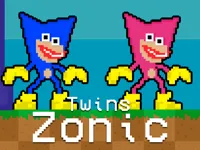 image Twins Zonic