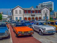 image Find 100 Butterflies