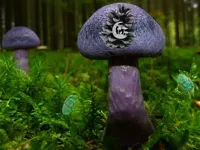 image Mushroom Forest Adventure