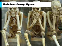 image Skeletons Funny Jigsaw