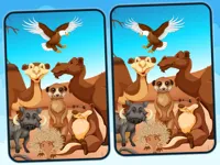 image Spot 5 Differences Deserts