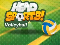 image Head Sports Volleyball