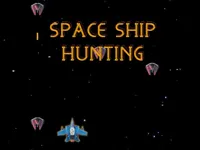 image SPACE SHIP HUNT