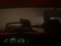 image Spooky Jungle Safari