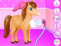 image Zoo Animal Hotel