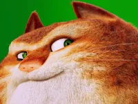 image The Amazing Maurice Card Match